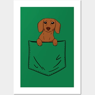 Pocket Dachshund Posters and Art